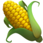 corn on the cob