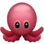 an octopus