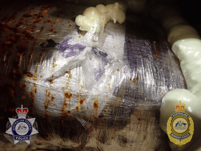 A cling-wrapped package is slightly cut open to reveal a white crystalline substance within.