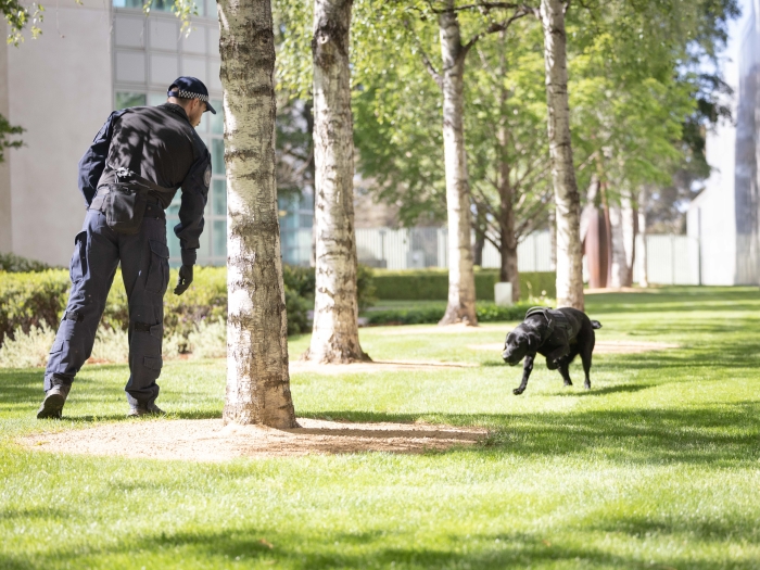 AFP's High Risk Explosion Detection Dog demonstration