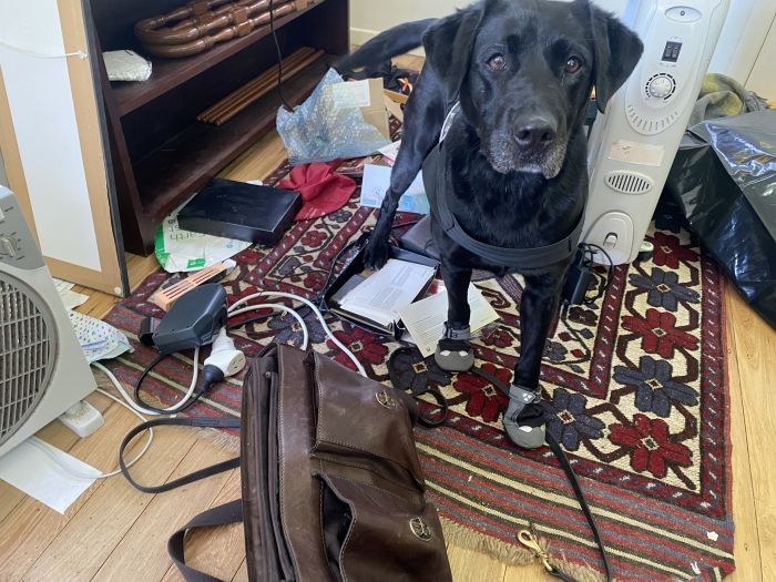 Georgia at a child protection search warrant