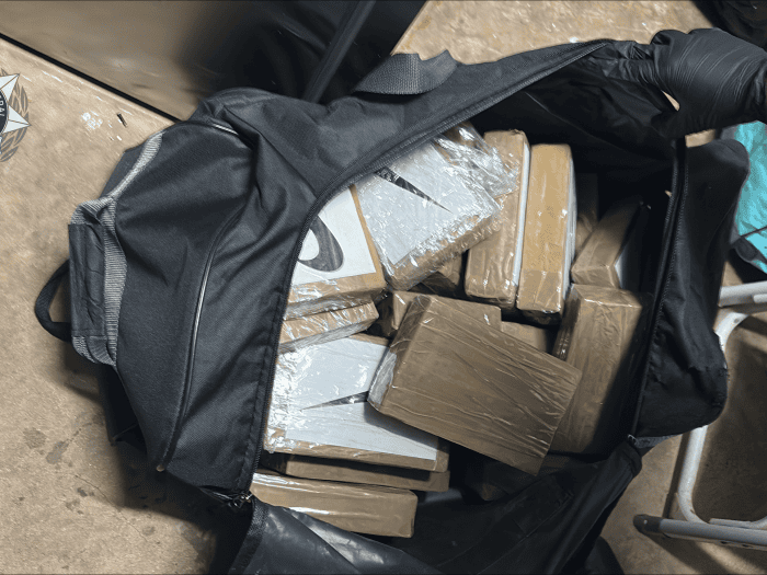 Sydney man charged with allegedly attempting to collect  30kg of cocaine from Alexandria car park