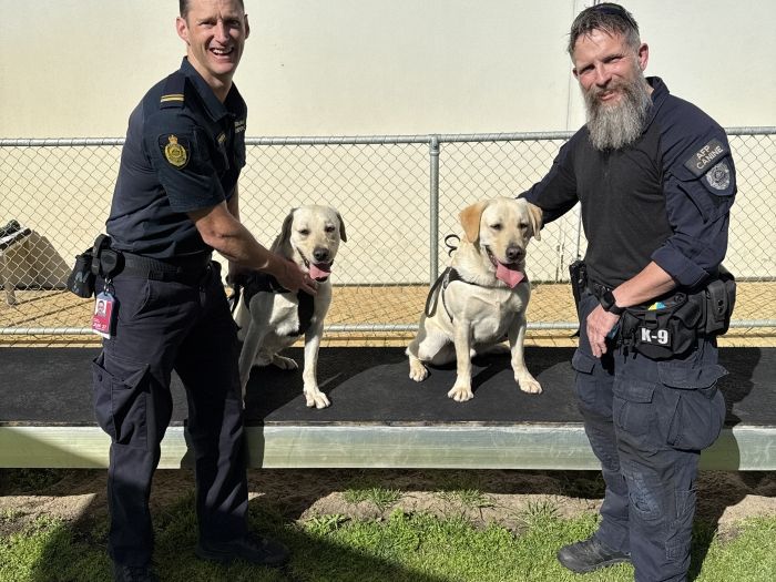 Canine detection dogs Glyn and Gazz pictured with their handlers Dom and Stephen