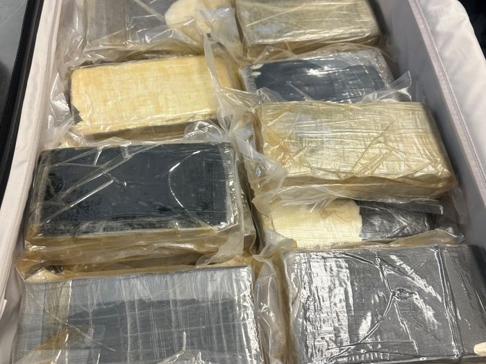 A Sydney man has been charged over the alleged importation of 22kg of cocaine from South Africa