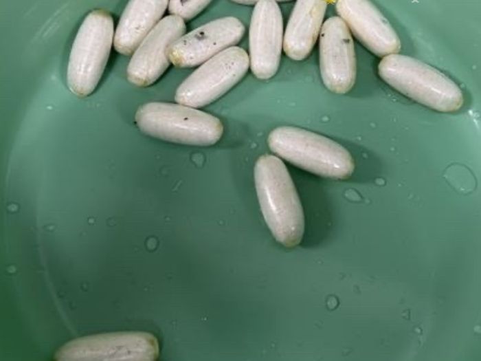 Syd Airport pills 