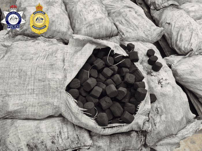 Meth concealed as charcoal