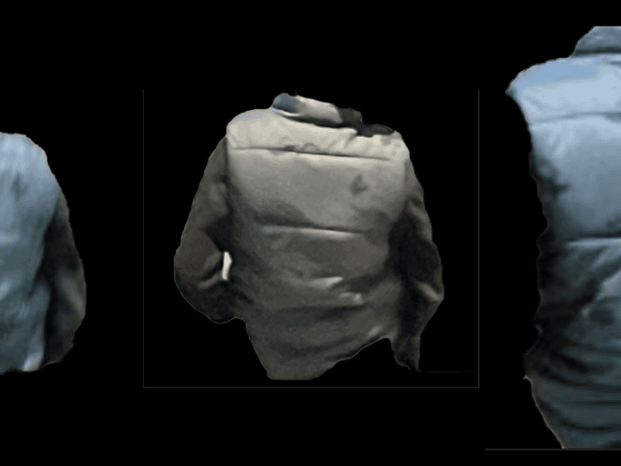 a puffy vest with a dinosaur or dinosaur skeleton pattern. 