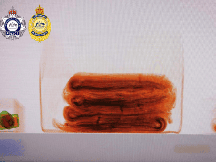 X-ray image of a quilt containing methamphetamine