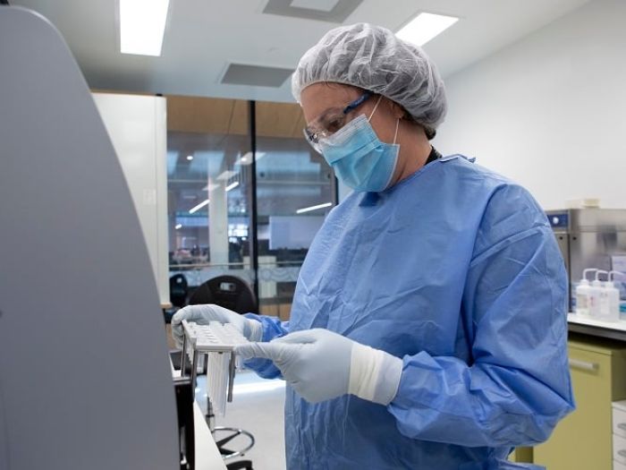 Person in lab examining DNA