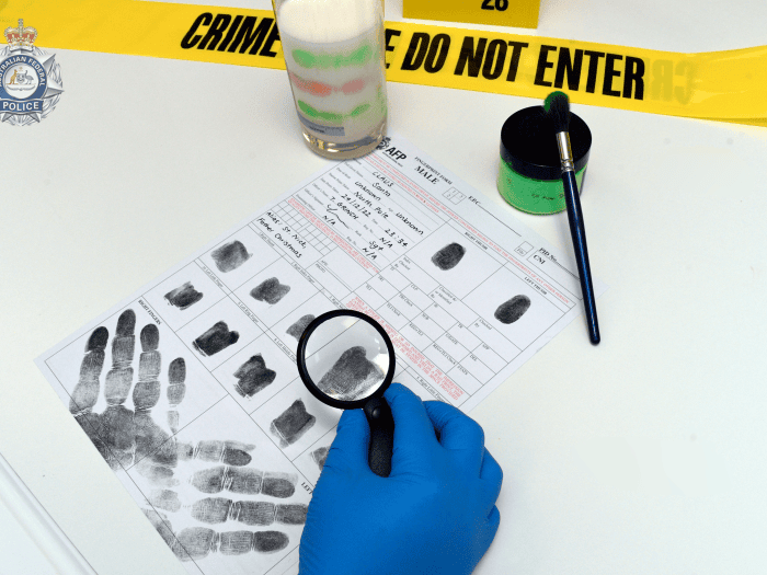 Fingerprint evidence