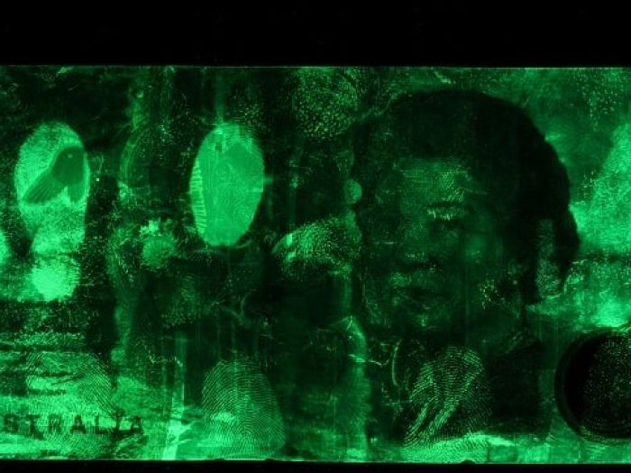 An Australian $5 note is examined using VMD, fluorescent green fingerprints on the surface