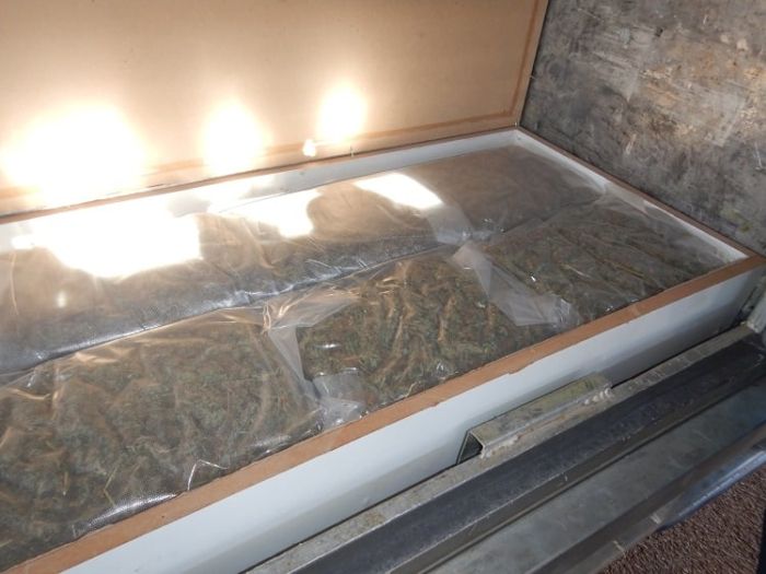 Some_seized_cannabis