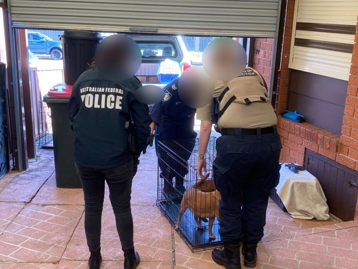 Investigators at warrant