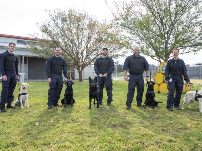 Graduating dogs with their handlers