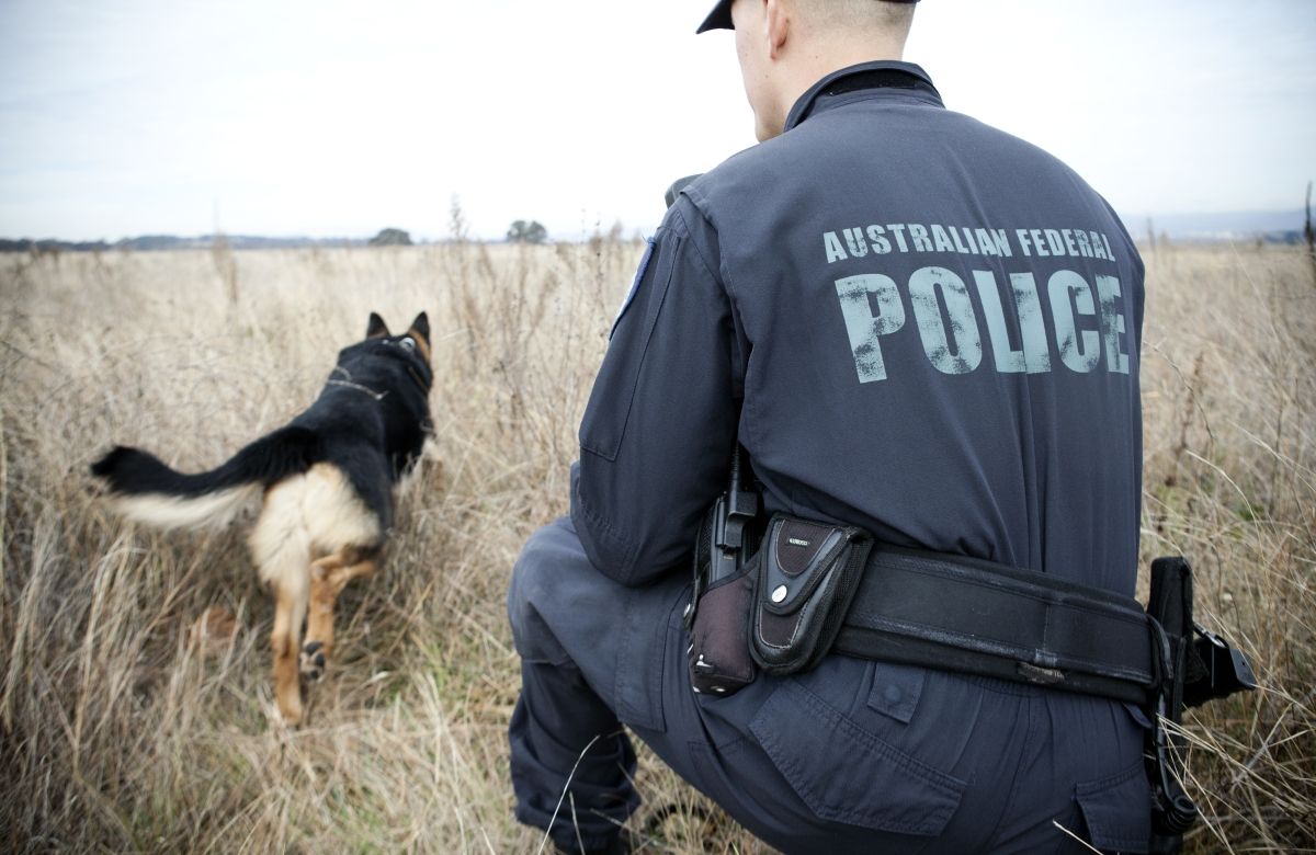 AFP officer in uniform crouching down with his AFP canine (German Shephard) facing away from the camera.