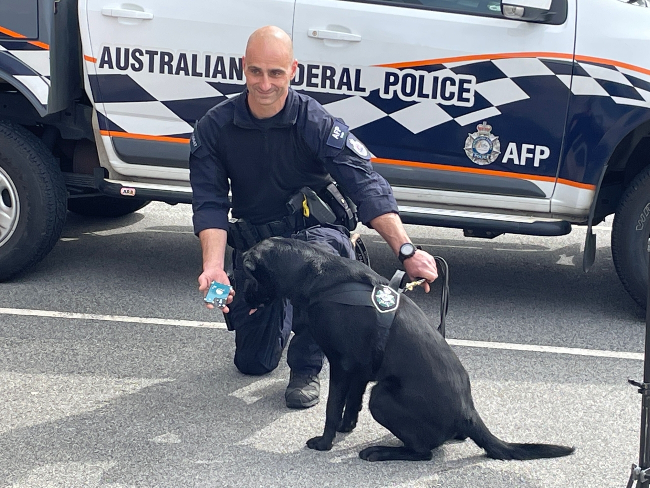 Aston, a technology detection dog uncovers a computer hard drive.