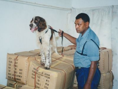 A detection dog assisted police in locating those boxes of boxer shorts that contained packages of heroin. 